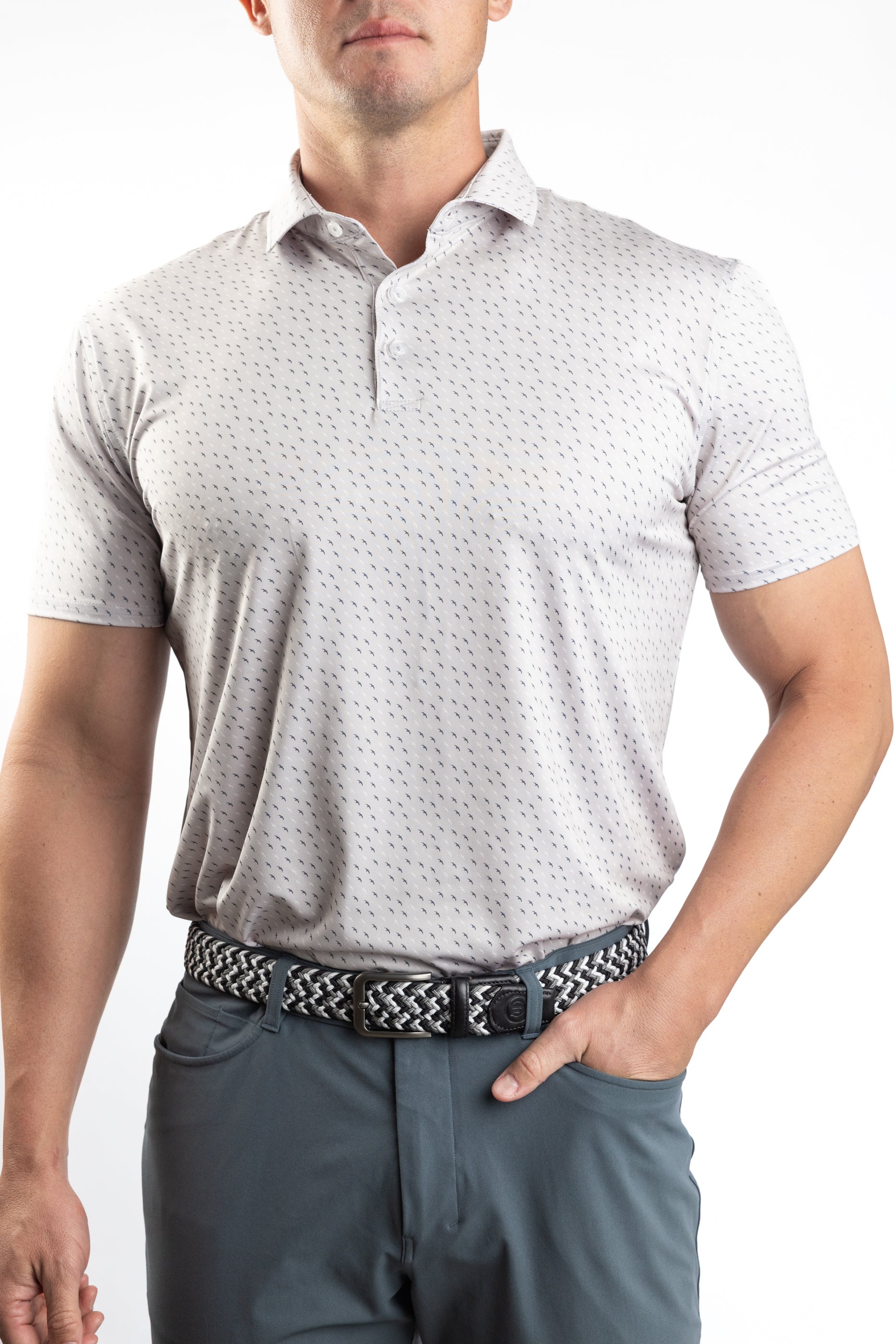 Summer Collection: Grey Albatross