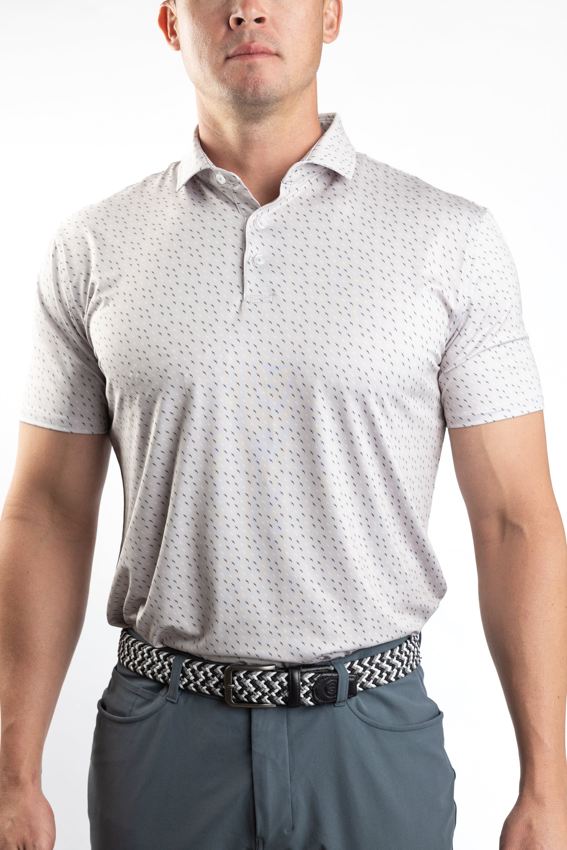 Summer Collection: Grey Albatross