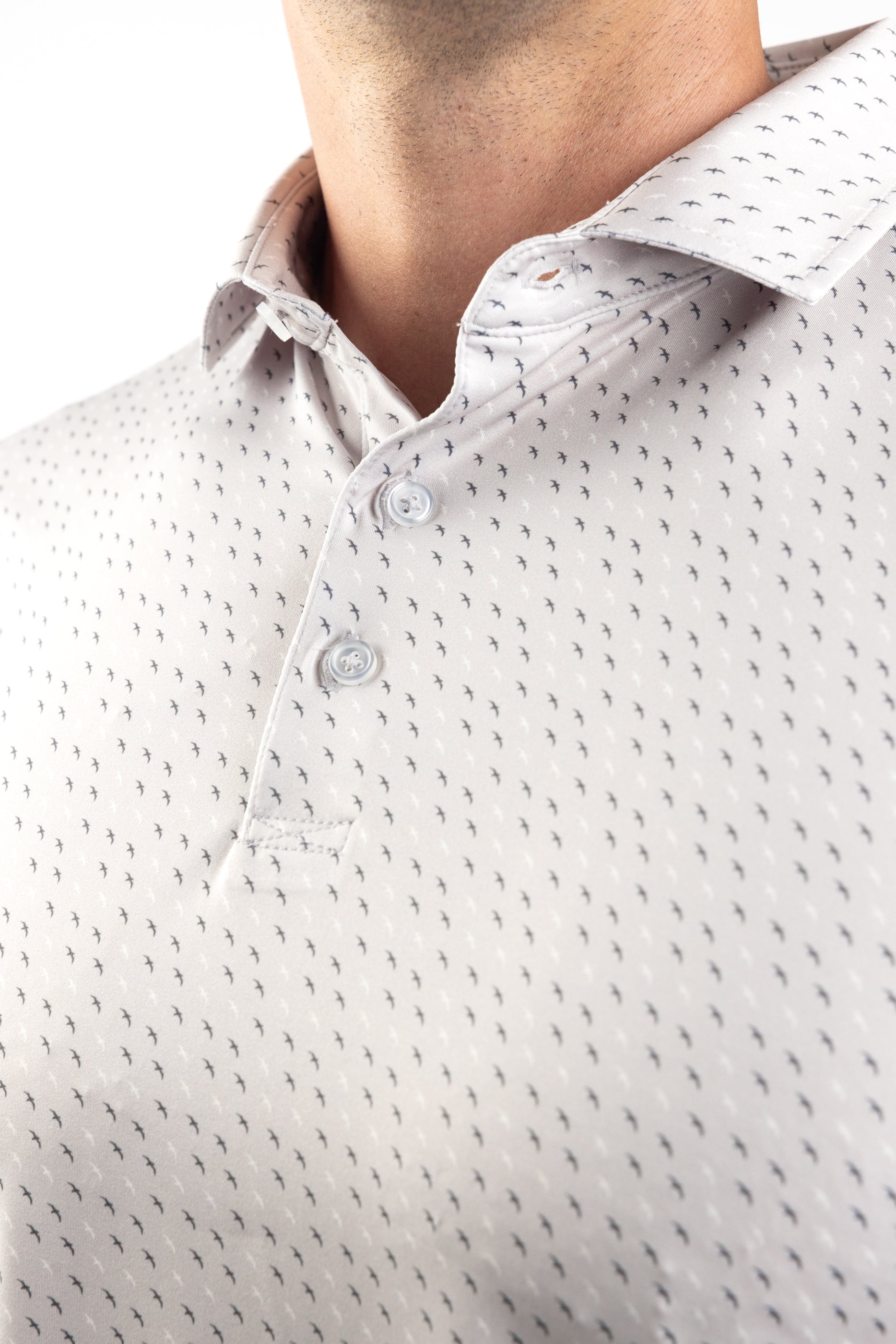 Summer Collection: Grey Albatross
