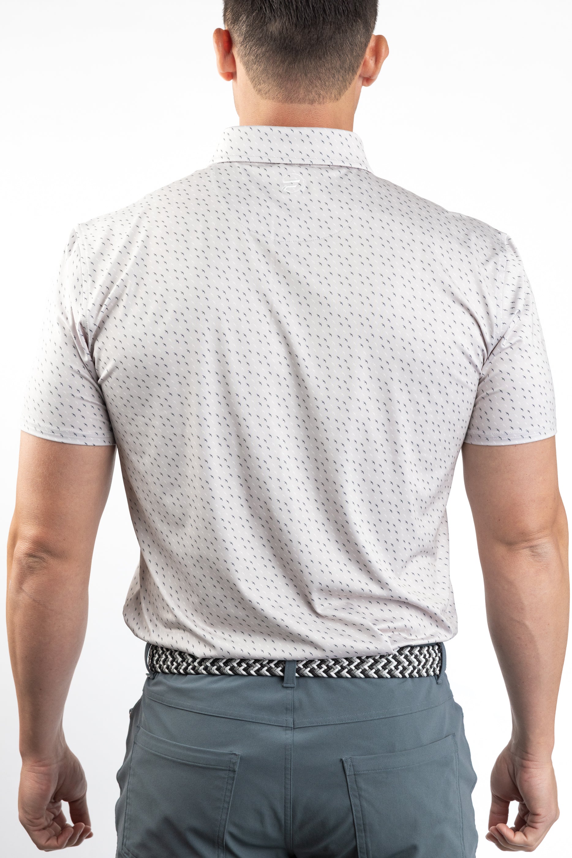 Summer Collection: Grey Albatross