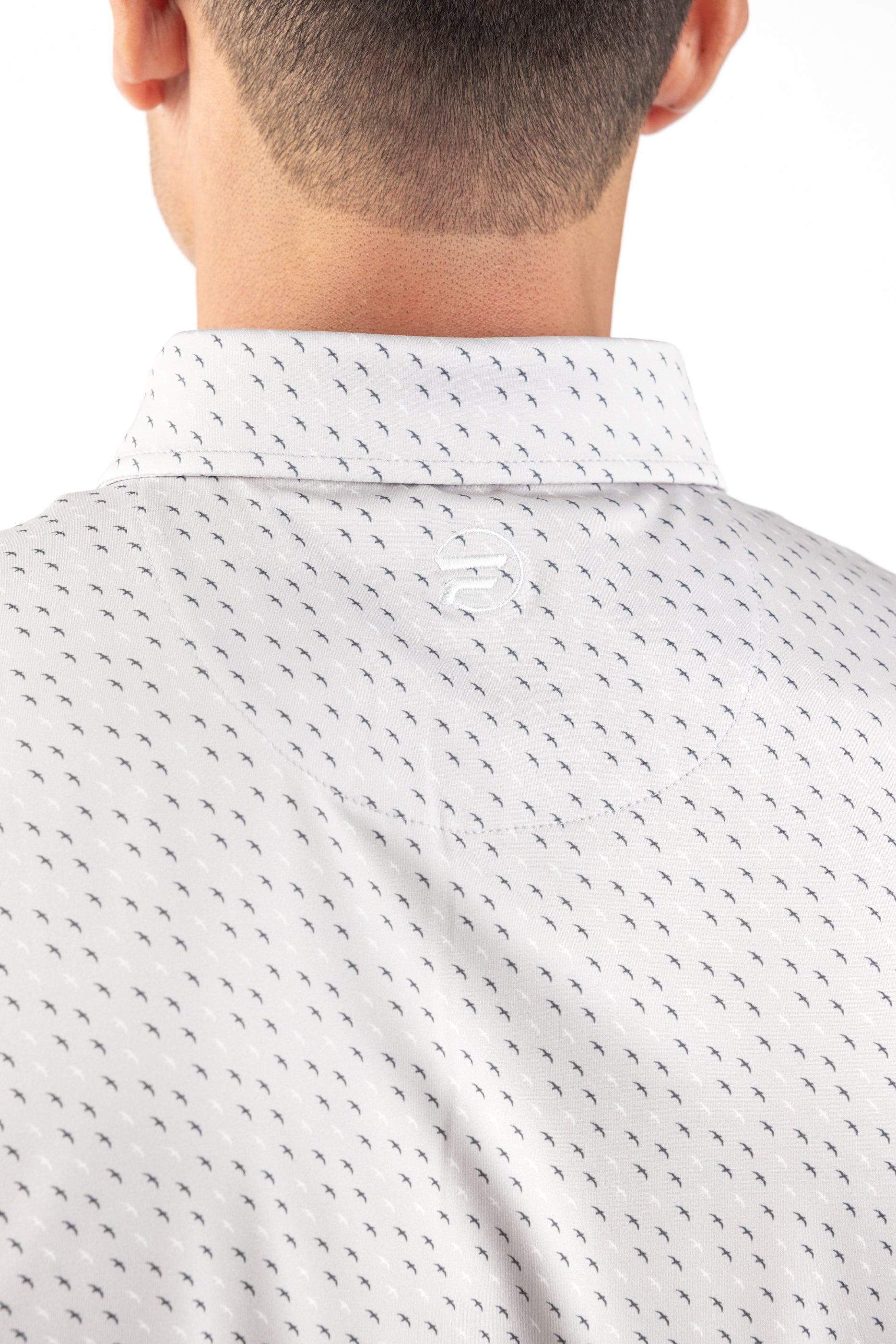 Summer Collection: Grey Albatross
