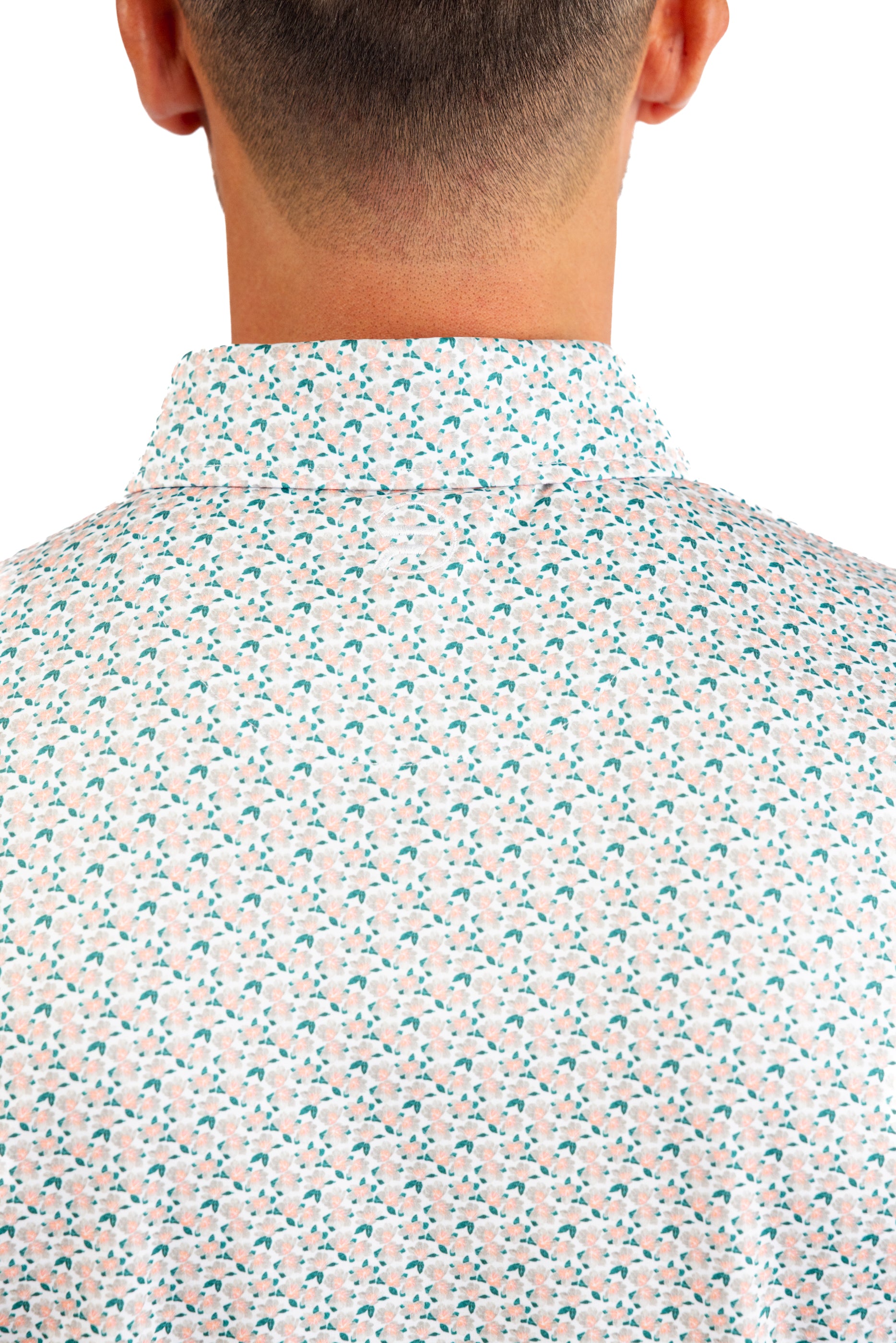 Spring Collection: Azaleas